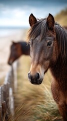 Obraz premium Wild horses near the beach grazing peacefully under a cloudy sky at dusk