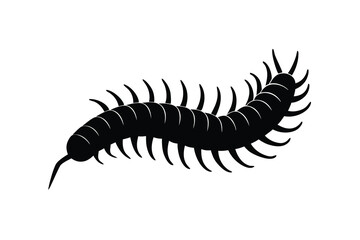 Black Silhouette of a Centipede Crawling on a White Background