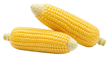Isolated Corn Cobs