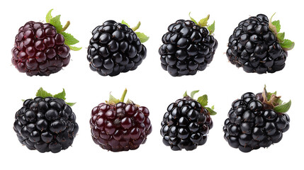 Blackberries