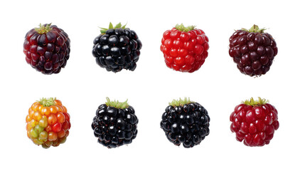 Blackberries