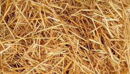 Close-up of dry straw