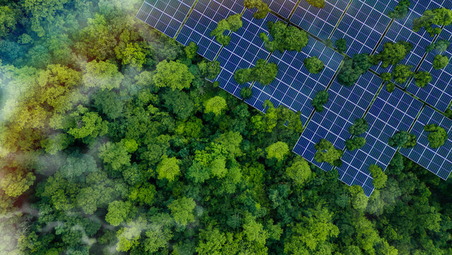 Solar panels installed in the green forest, clean alternative energy concept, sustainable energy, environment, solar power, generator - Powered by Adobe