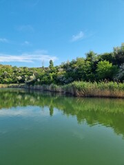 Fototapeta premium lake in the park