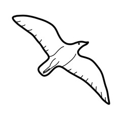 gull bird animal nature hand drawn doodle cute fly
