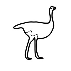 ostrich bird farm animal nature hand drawn doodle cute food
