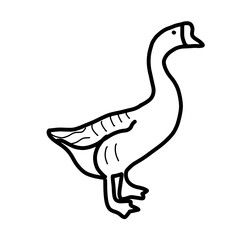 goose duck farm animal nature hand drawn doodle cute food
