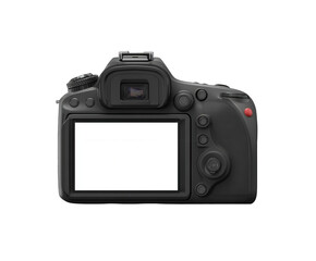 Detailed rear view of a modern DSLR camera with a blank screen on transparent background