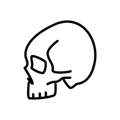 skull icon vector, line style icon