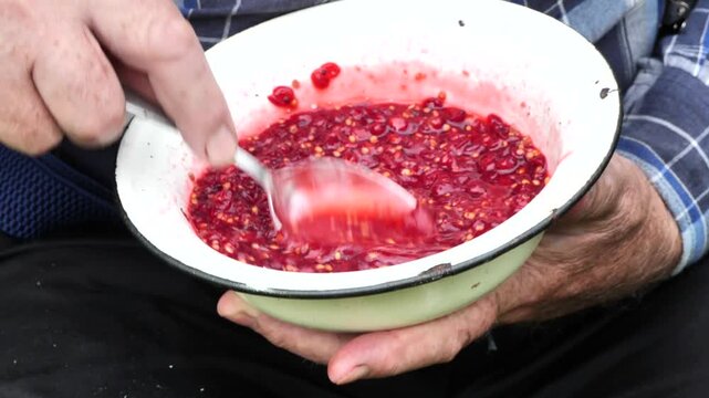 An elderly man prepares a dessert from red currants. 
Mashed red currants with sugar are a wonderful dessert in the conditions of a summer cottage.
