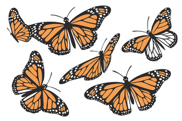 A collection of monarch butterflies in various poses against a white background