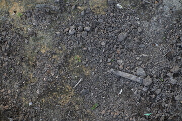 A Detailed Overhead Perspective of Earthy Ground, with Rock and Organic Elements