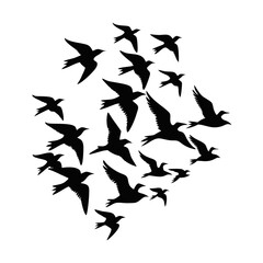 Flock of birds flying silhouette vector