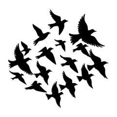 Flock of birds flying silhouette vector