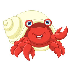Cartoon hermit crab on white background
