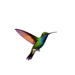 Iridescent Hummingbird in Flight with Vibrant Plumage