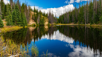 Tierwelt und Herbstfarben im Rocky Mountain Nationalpark