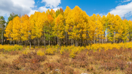 Tierwelt und Herbstfarben im Rocky Mountain Nationalpark