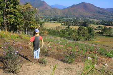 a field with the scarecrow in chiang rai countryside, thailand