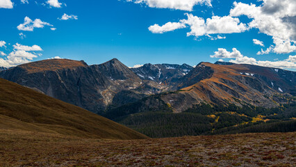 Tierwelt und Herbstfarben im Rocky Mountain Nationalpark