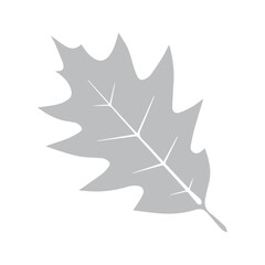 Fototapeta premium leaves tropical icon