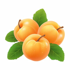 Three fresh apricots with smooth orange skin and green leaves, ripe summer fruit illustration isolated on white background
