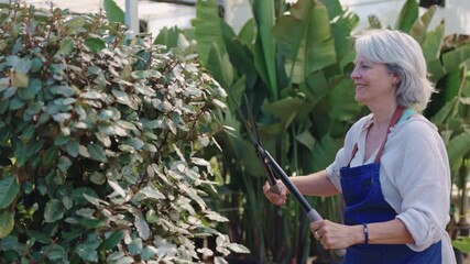 Gardener pruning hedge in greenhouse slow motion montage - Powered by Adobe