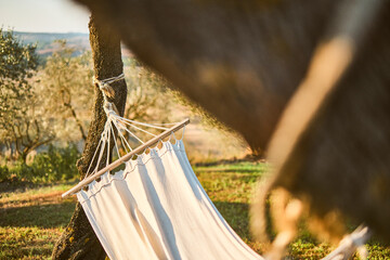 Dettaglio su una amaca tra gli alberi.