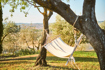 Amaca bianca che dondola al vento tra gli alberi di una collina toscana.