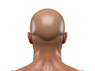 Bald Head and Neck from Behind on White
