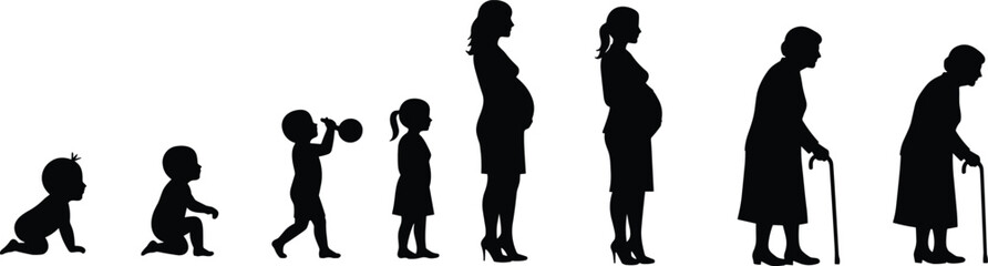 Female life stages illustration, woman growth timeline, aging process, from baby to elderly, development concept, generational journey, silhouette vector designFemale life stages illustration