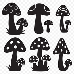 Set of different mushroom silhouettes, graphic drawing with lines, black and white cut truffle, porcini mushroom, color full Mushroom Silhouettes for Design. mushroom, silhouette, boletus.