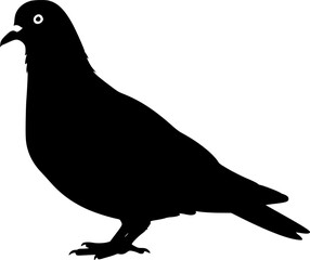 pigeon bird black silhouette vector, Simple silhouette Design vector icon with white background. Wild bird
