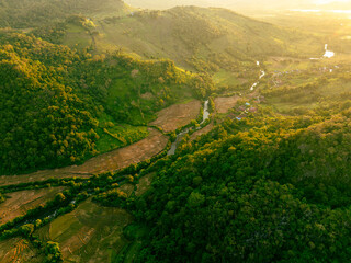 Twilight Jungle Descent