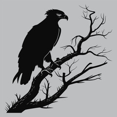 Harpy eagle staring from treetop silhouette vector design art and illustration