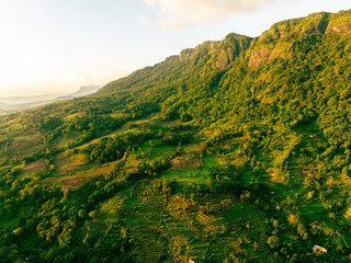 Sunset Jungle Mountains