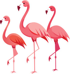 Obraz premium Pink flamingos are elegant wild birds, often isolated, with their characteristic pink feathers, long necks, and black beaks, illustrating the beauty of tropical nature