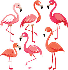 Obraz premium A flock of pink flamingos, graceful birds of the wild, standing in nature's water