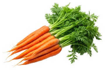 A healthy bunch of fresh orange carrots with vibrant green leafy tops, isolated on a transparent background