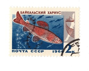A vintage postage stamp from Russia isolated on a white background.