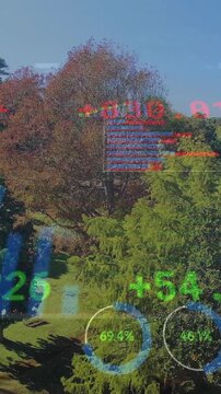 Processing financial data animation over lush green park landscape