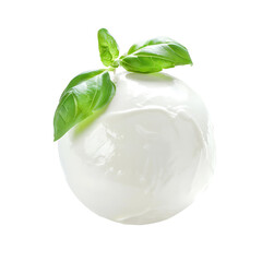 Fresh Mozzarella Cheese with Basil Leaves Isolated on White Background