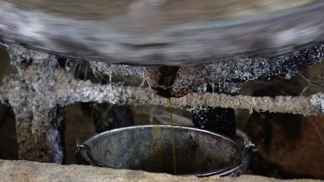 A traditional method of extracting oil featuring a cold press method, commonly used for producing oils such as mustard oil