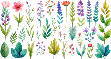 Colorful floral watercolor illustrations set. Bright flowers and leaves botanical design art. Floral pattern with vibrant watercolor flowers. Hand-painted flowers and plants in watercolor style