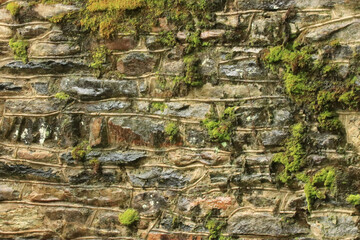 Rock Wall with Moss