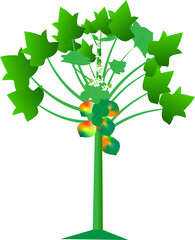 @ a papeya tree graphics design #