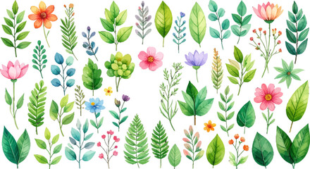 Watercolor botanical leaves and floral. Greenery clipart with soft floral accent. Hand-painted foliage and wildflowers set. Spring plants and leaves watercolor design. Green leaf and flower watercolor