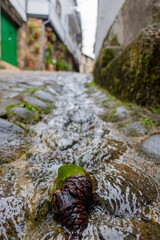 San Martín de Trevejo / Sa Martín de Trevellu (Cáceres)