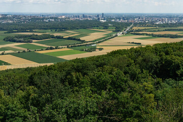 expansive agricultural fields and numerous wind turbines stretching across the austrian landscape from an elevated viewpoint under a vast, partly cloudy sky, concept of renewable energy