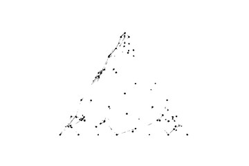 Fototapeta premium Black and white abstract triangular network with connected dots and lines forming a complex structure